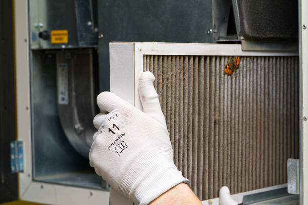 Best Professional Duct Cleaning Services  in Elsa, TX