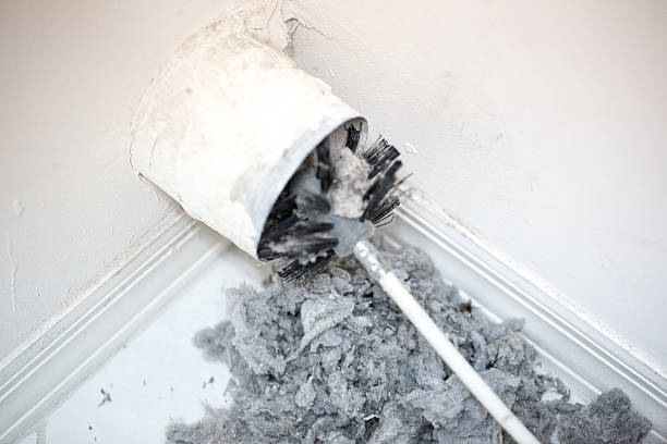 Best HVAC Duct Inspection Services  in Elsa, TX